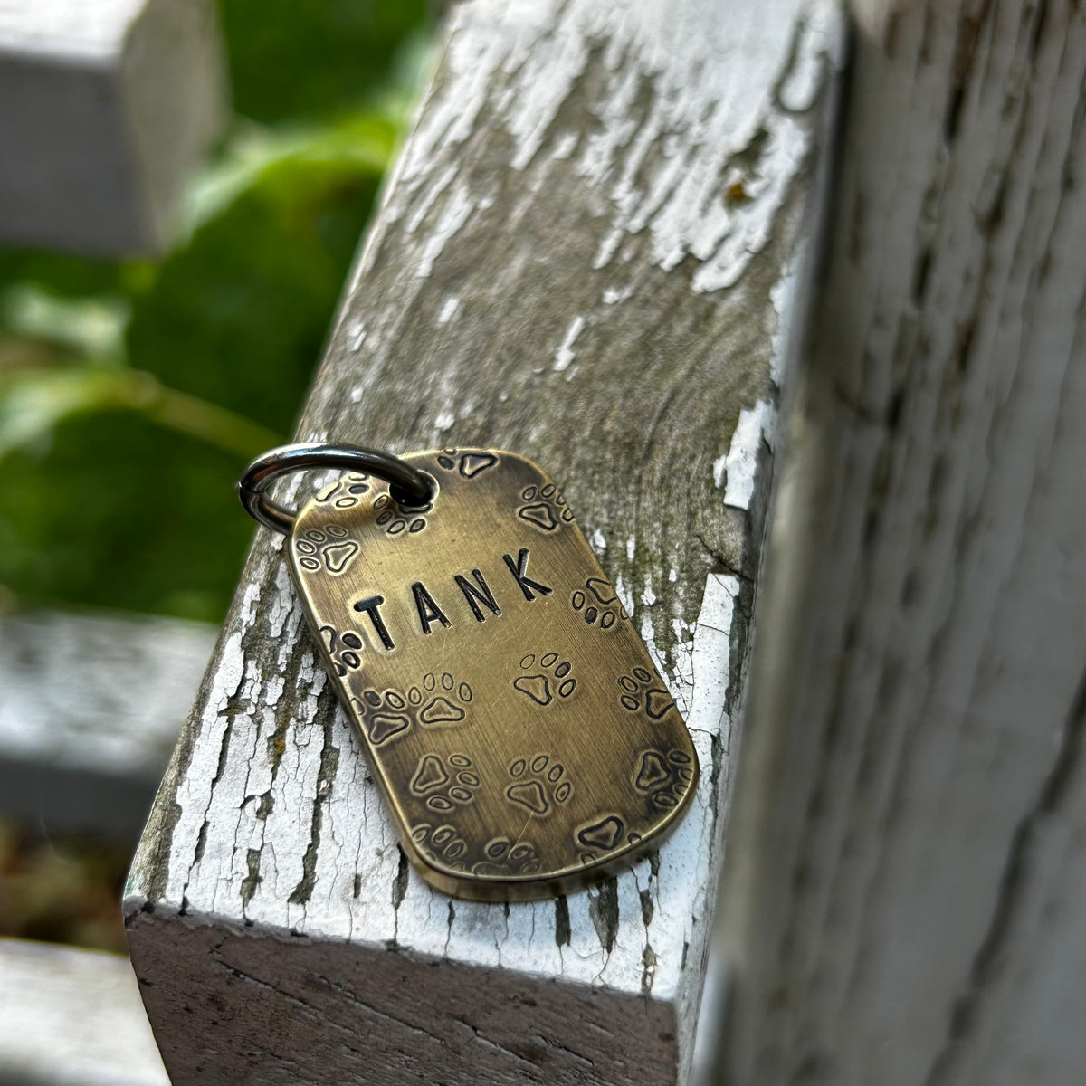 Custom Dog Tags