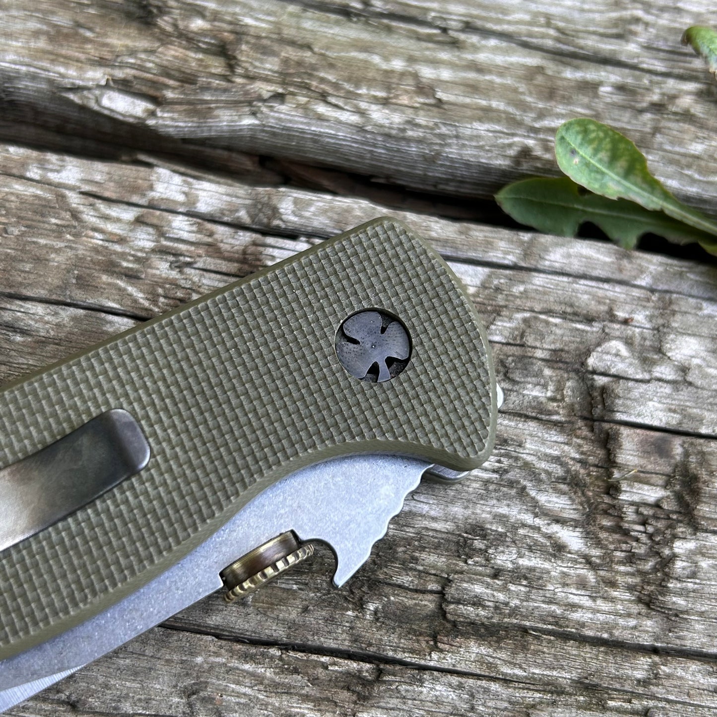 Shamrock Pivot