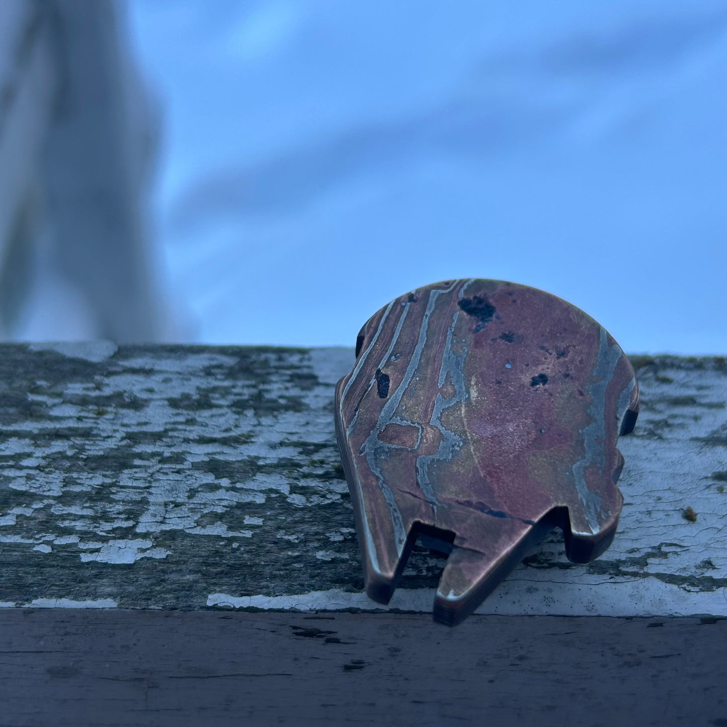 Falcon Pendant / Coin