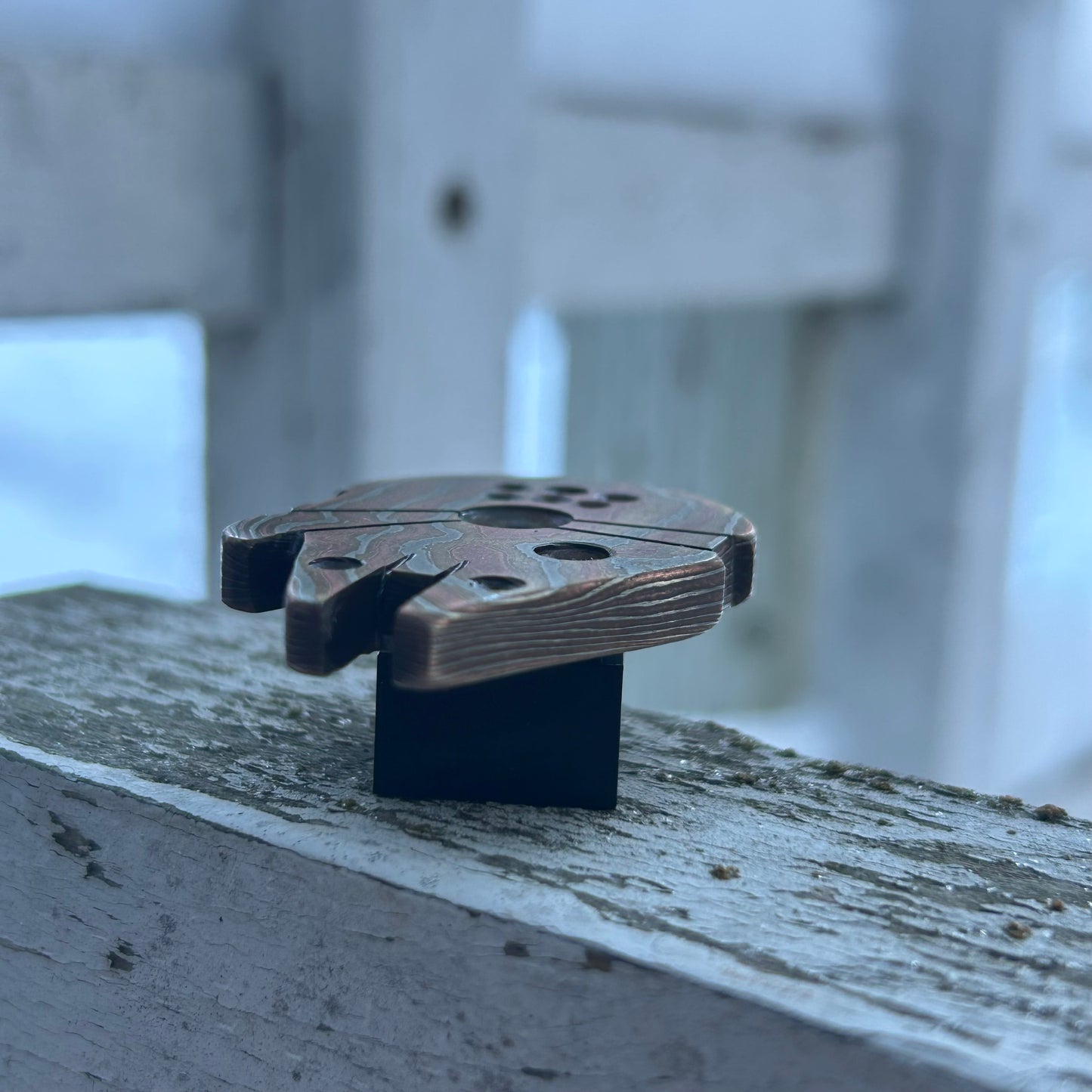 Falcon Pendant / Coin